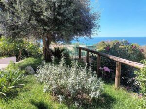 L'aria profuma di salvia e menta