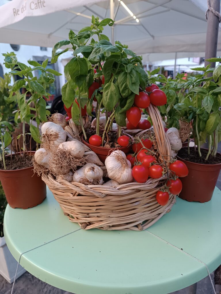 pomodori-aglio-ischia.jpg Una vacanza self-catering permette di gustare prodotti tipici del territorio